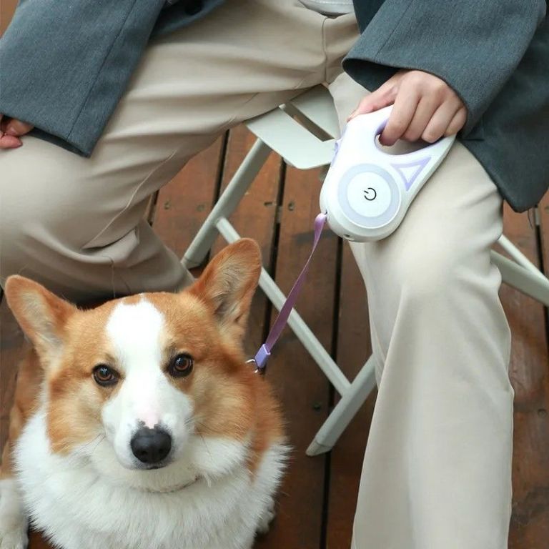 retractable-dog-leash-with-spotlight-collar-big-1