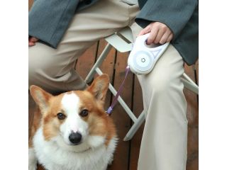 retractable-dog-leash-with-spotlight-collar-small-1