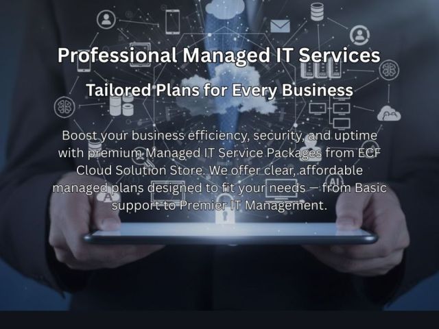 professional-managed-it-services-tailored-plans-for-every-business