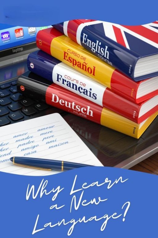 newcomer-english-curriculum-the-pathway-to-confident-language-learning-big-1