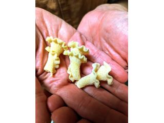 taste-italy-in-every-bite-small-0
