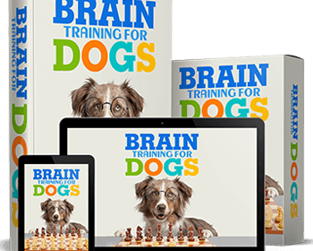 brain-training-for-dogs-unique-easy-dog-training-course