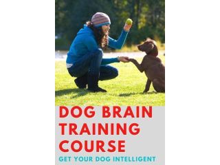 brain-training-for-dogs-unique-easy-dog-training-course-small-1