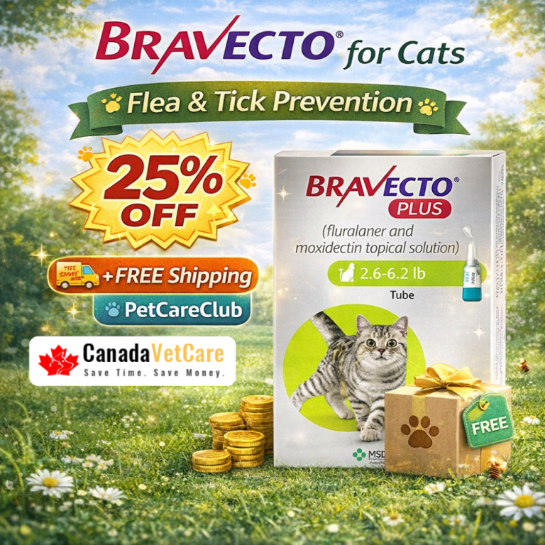 bravecto-plus-for-cats-25-off-free-shipping-canadavetcare-big-0