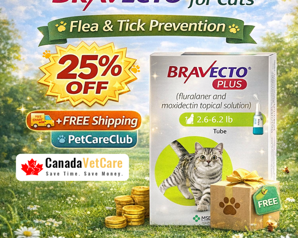 bravecto-plus-for-cats-25-off-free-shipping-canadavetcare