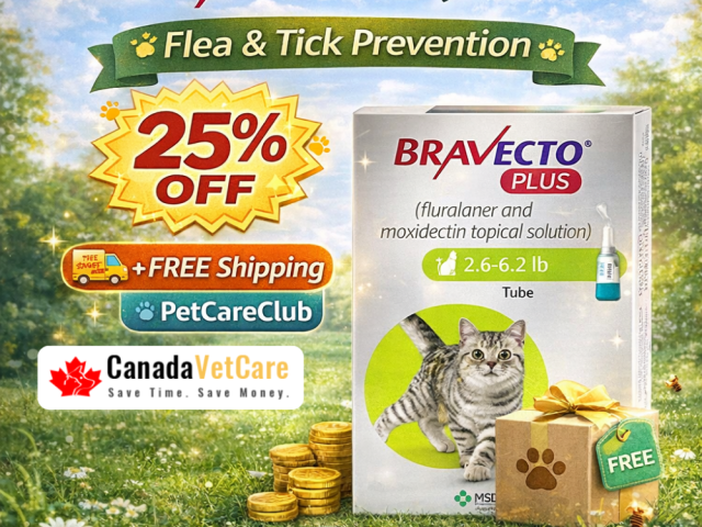 bravecto-plus-for-cats-25-off-free-shipping-canadavetcare