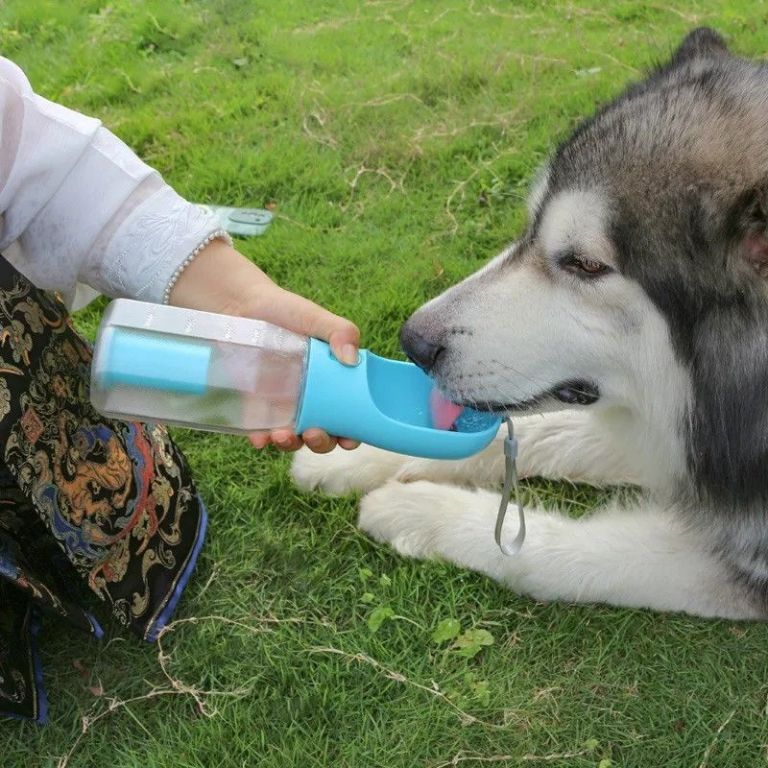 3-in-1-pet-travel-bottle-water-food-poop-dispenser-big-1