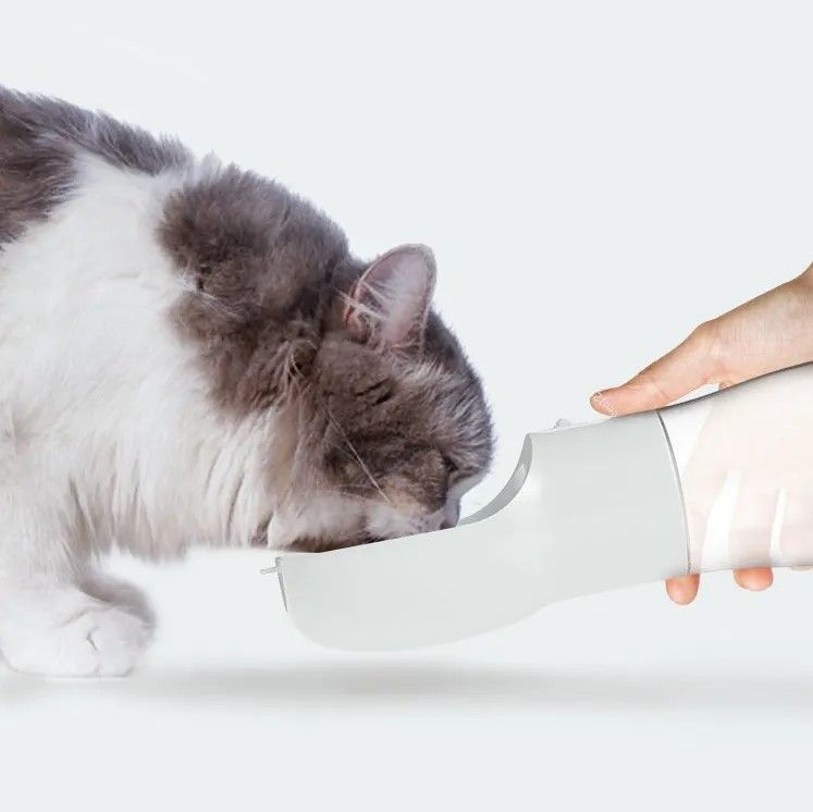 portable-dog-water-dispenser-travel-bottle-for-pets-big-0