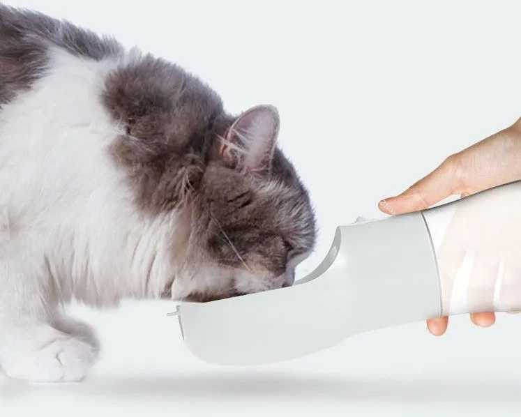 portable-dog-water-dispenser-travel-bottle-for-pets