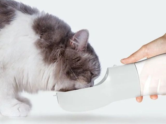 portable-dog-water-dispenser-travel-bottle-for-pets