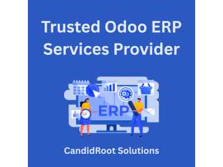 trusted-odoo-erp-services-provider-small-0