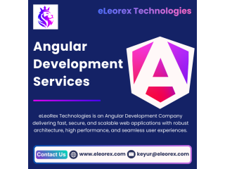 best-angular-development-company-eleorex-technologies-small-0