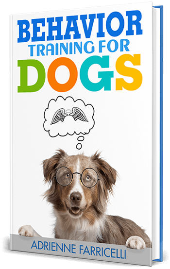 brain-training-for-dogs-stop-bad-behavior-big-1