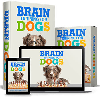 brain-training-for-dogs-stop-bad-behavior-big-0