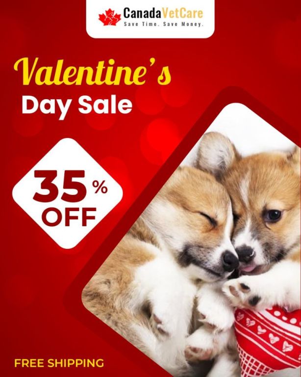 valentine-sale-is-live-enjoy-35-off-on-all-pet-care-products-at-canadavetcare-big-0