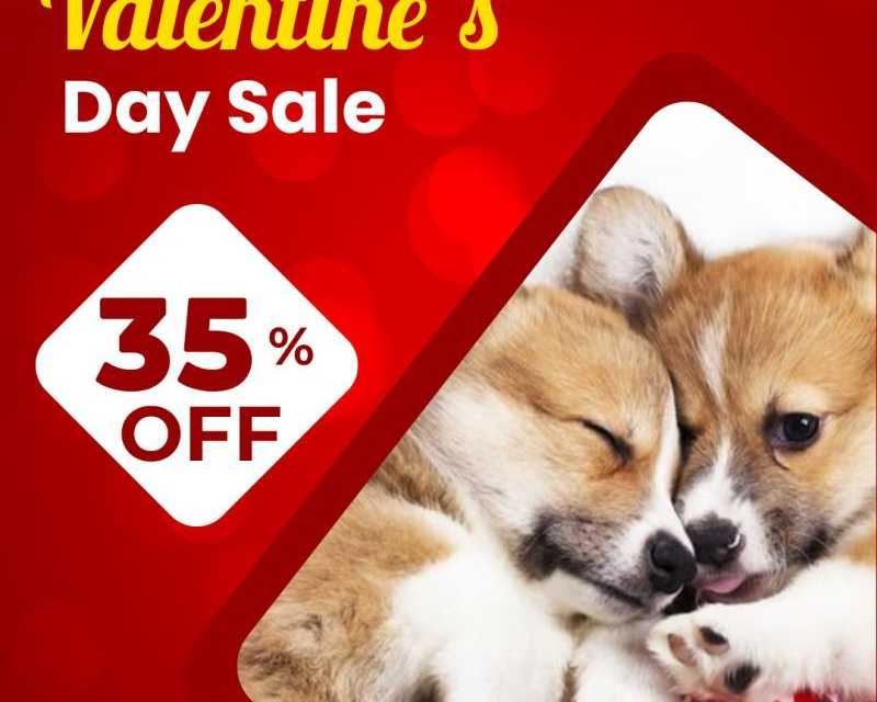 valentine-sale-is-live-enjoy-35-off-on-all-pet-care-products-at-canadavetcare