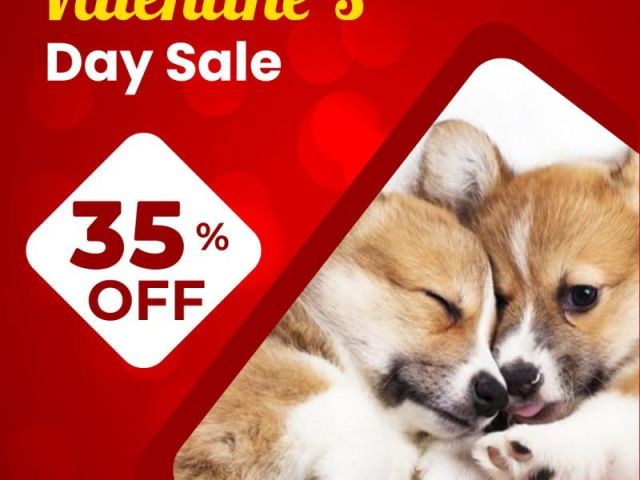 valentine-sale-is-live-enjoy-35-off-on-all-pet-care-products-at-canadavetcare