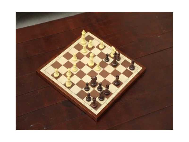 easy-chess-set-up-king-and-queen-explained-small-0