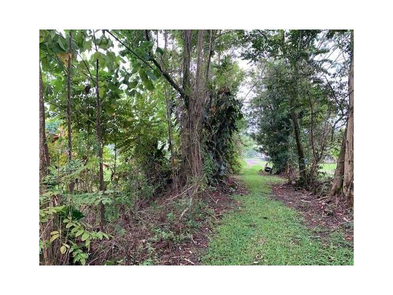professional-forestry-mulching-services-in-hilo-hawaii-arborist-services-small-0