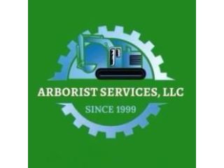 professional-land-clearing-and-tree-removal-with-arborist-services-in-hilo-small-0
