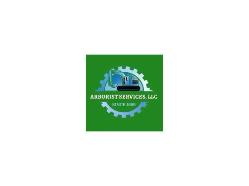 professional-land-clearing-and-tree-removal-with-arborist-services-in-hilo-small-0