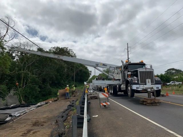 expert-hawaii-crane-solutions-in-hilo-arborist-services