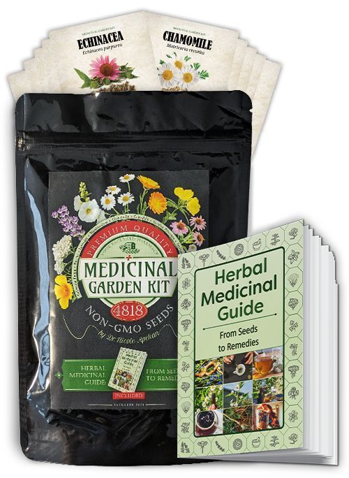 medicinal-garden-kit-usa-grow-healing-herbs-at-home-big-0