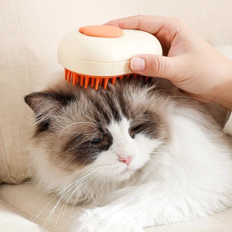 steam-cat-brush-electric-self-cleaning-grooming-comb-big-0