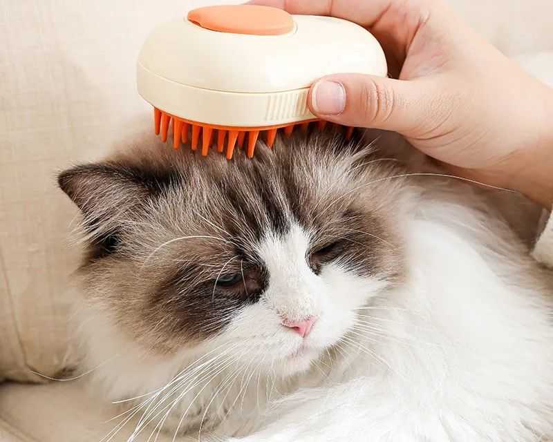 steam-cat-brush-electric-self-cleaning-grooming-comb