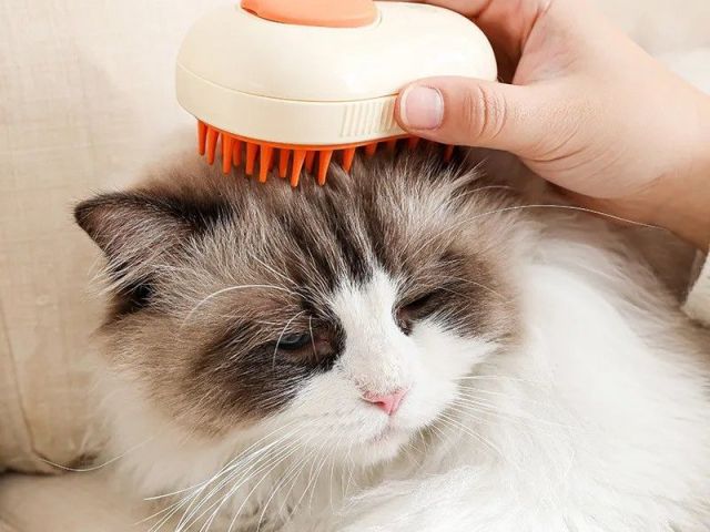 steam-cat-brush-electric-self-cleaning-grooming-comb