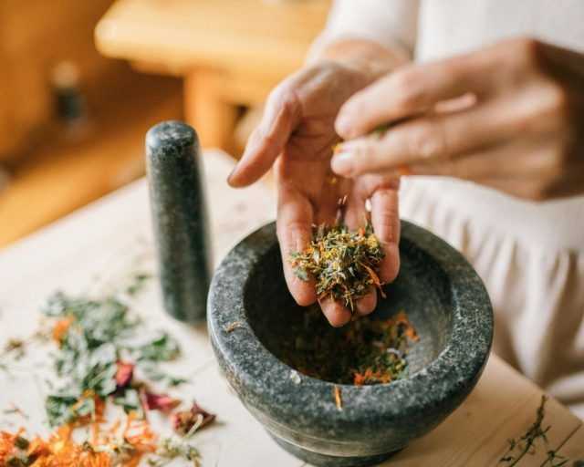 plant-medicine-therapy-granite-bay-for-emotional-spiritual-wellness
