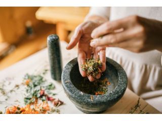 plant-medicine-therapy-granite-bay-for-emotional-spiritual-wellness-small-0