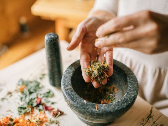 plant-medicine-therapy-granite-bay-for-emotional-spiritual-wellness