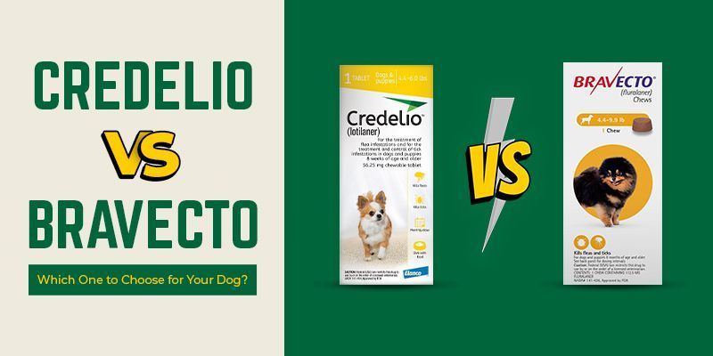 bravecto-vs-credelio-a-complete-flea-prevention-comparison-canadavetcare-big-0