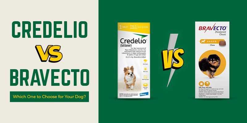 bravecto-vs-credelio-a-complete-flea-prevention-comparison-canadavetcare-big-0