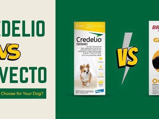 bravecto-vs-credelio-a-complete-flea-prevention-comparison-canadavetcare