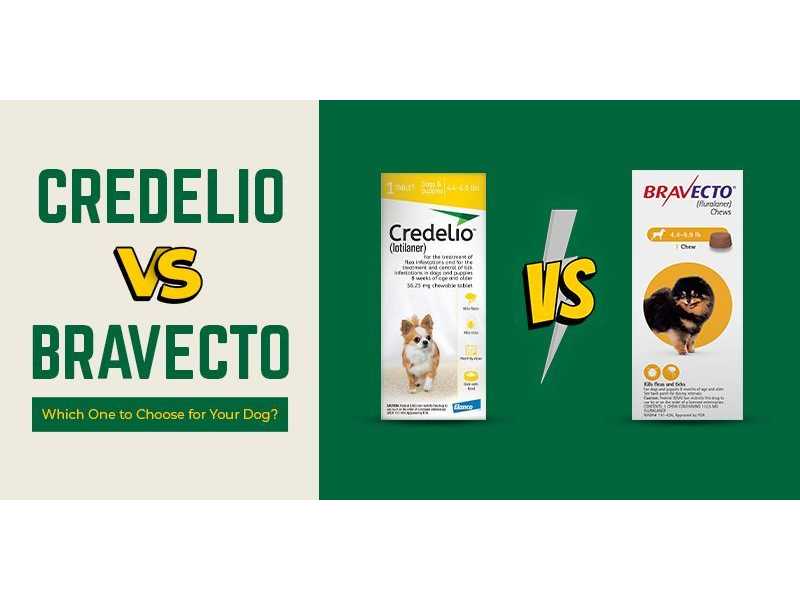 bravecto-vs-credelio-a-complete-flea-prevention-comparison-canadavetcare-small-0