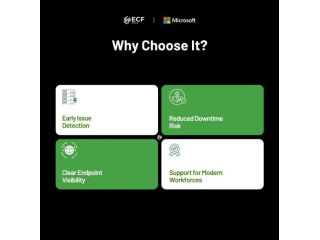 essential-workstation-managed-service-by-ecf-data-llc-small-1
