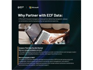 essential-workstation-managed-service-by-ecf-data-llc-small-2