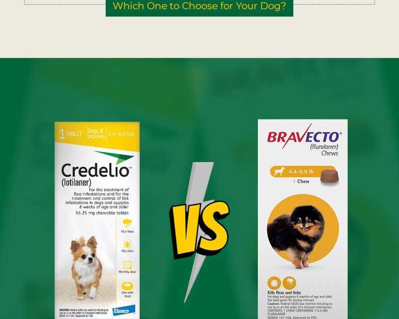 what-are-the-safest-flea-tick-collars-for-dogs-canadavetcare