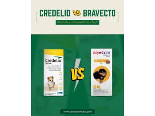 what-are-the-safest-flea-tick-collars-for-dogs-canadavetcare-small-0