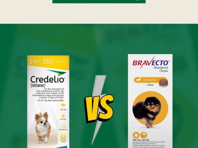 what-are-the-safest-flea-tick-collars-for-dogs-canadavetcare