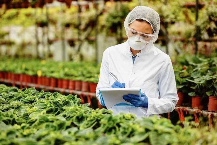 easy-fda-product-code-lookup-with-addis-global-trade-big-0