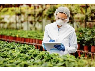easy-fda-product-code-lookup-with-addis-global-trade-small-0