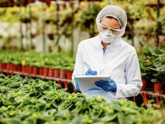 easy-fda-product-code-lookup-with-addis-global-trade