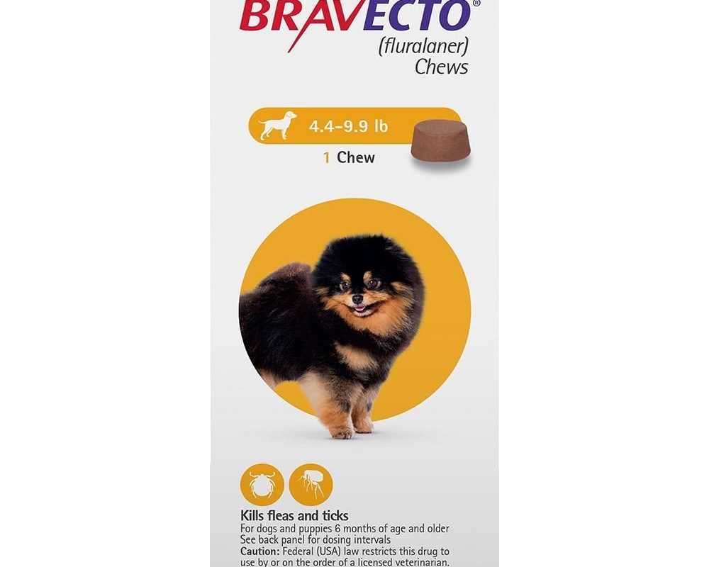 bravecto-for-dogs-starts-killing-fleas-within-2-hours-free-shipping