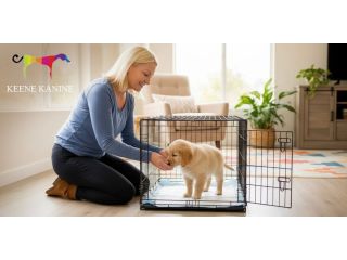 trusted-puppy-potty-training-long-beach-nassau-county-small-0