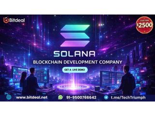 launch-faster-scale-smarter-solana-blockchain-development-from-2500-small-0