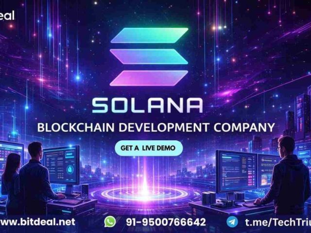 launch-faster-scale-smarter-solana-blockchain-development-from-2500