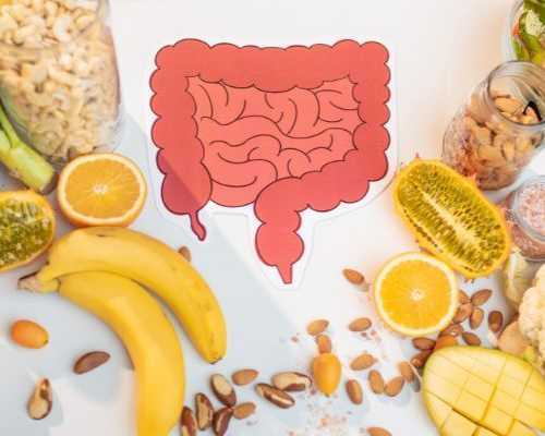 digestive-health-enzyme-therapy-for-better-wellness